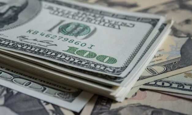 ECONOMÍA: El dólar blue se vende a $1030, bajó cinco pesos