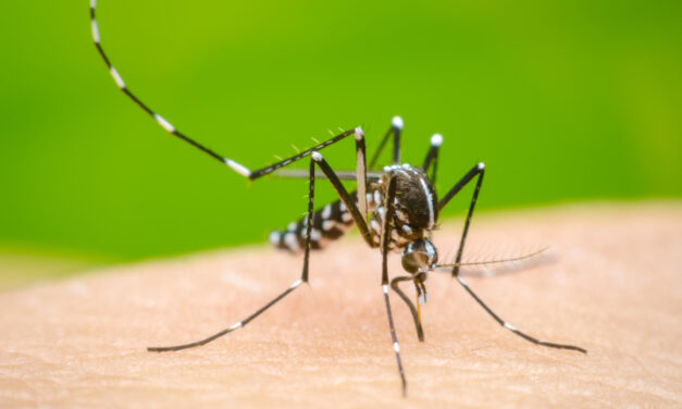 Reportaron al primer muerto por coinfección de dengue en el país