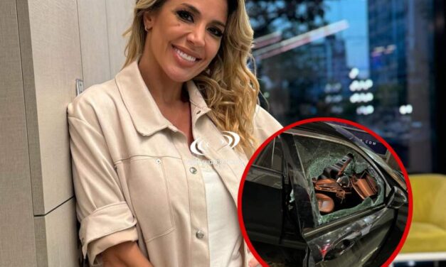 EN BUENOS AIRES: Susto para Virginia Gallardo: le rompieron el vidrio de su auto para robarle