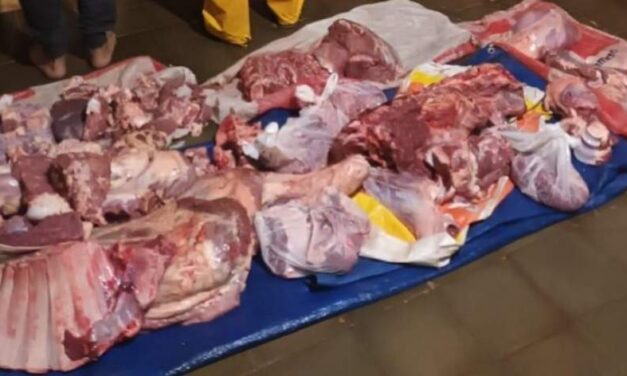 SANTO TOMÉ: Trasladaban casi 40 kilos de carne faenada ilegalmente en una moto