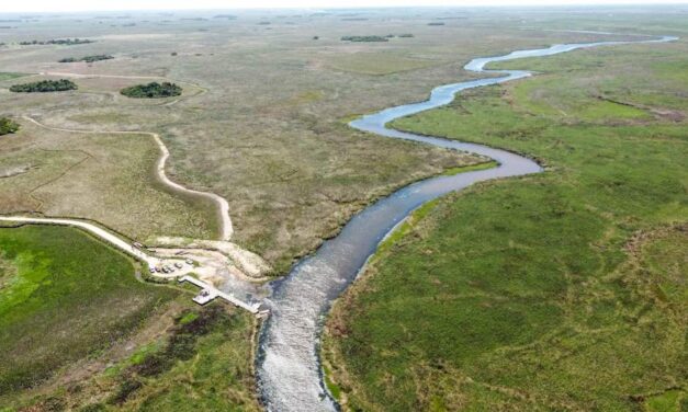 INTA : «Corrientes tiene el 15 por ciento de la superficie cubierta con agua»