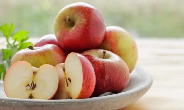 SEGÚN LOS EXPERTOS DE HARVARD: ¿Qué pasa si comes una manzana todos los días?