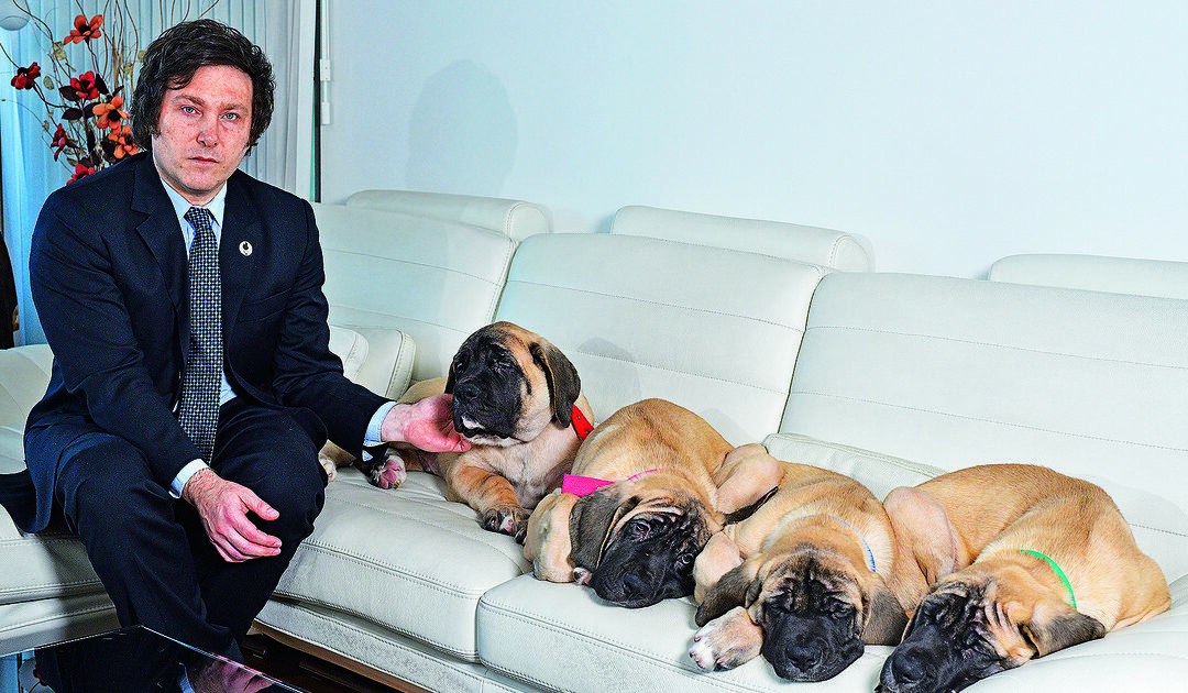 Manuel Adorni se enojó por una nueva pregunta sobre los perros de Javier Milei: «Es meterse con su familia»