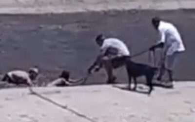 DRAMÁTICO VIDEO EN CÓRDOBA: Nenes cayeron al río y los rescataron con correa para perros