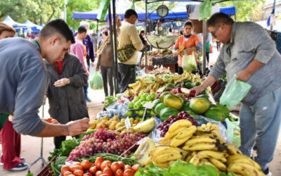 Nuevo recorrido de las Ferias de la Ciudad en la semana de Navidad