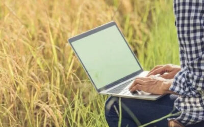 Suman por primera vez a un proyecto ambiental de la ONU a una empresa argentina del agro