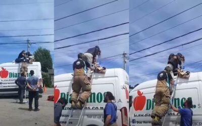 Hacía parapente, quedó enredada en los cables de electricidad y dejó a un barrio sin luz