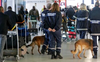 Cocaína sudamericana en Francia: cada vez más «mulas» atrapadas en el principal aeropuerto de París