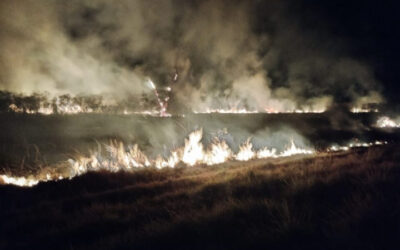 Incendio en la Reserva Taji Poty de Santo Tomé: investigan si fue intencional