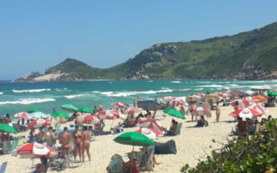 Norovirus: el brote culpable de las intoxicaciones en las playas de Brasil