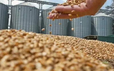 Con la salida del cepo, se aceleró el ingreso de dólares del campo