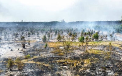 Continúan vigentes créditos a tasa 0 para productores afectados por los incendios