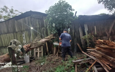 Ramada Paso: jornada de temporal con incendio y árboles caídos