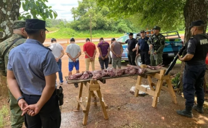 Colonia Liebig: demoran a cinco personas por faenar un ciervo de los pantanos