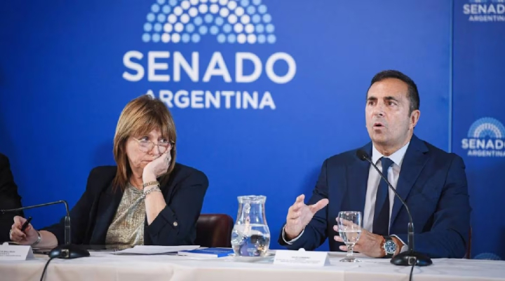 El secretario de Trabajo defendió la reforma laboral en el Senado ante las críticas del kirchnerismo