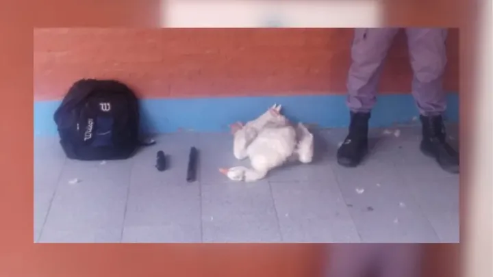 Amenazó con un arma de fuego a su pareja y le robó un ganso