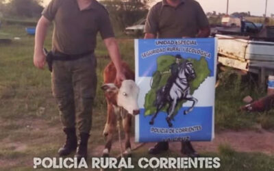 Un hombre sorprendido cuando estaría por faenar el ternero de un vecino: «Lo iba a resguardar»