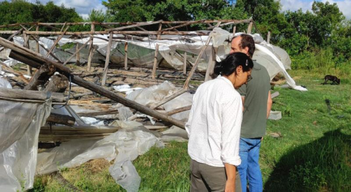 Asistencia al agro y fuerte respaldo oficial al campo