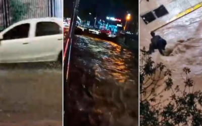 Fuerte temporal: decenas de evacuados, caída de árboles y problemas por posible falta de agua