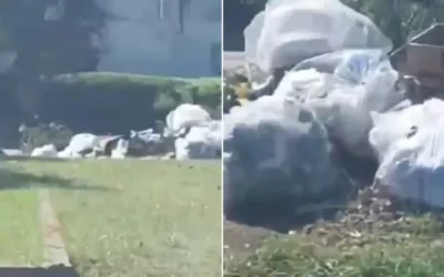 Un intendente anunció que multarán a quienes tiren basura en espacios públicos