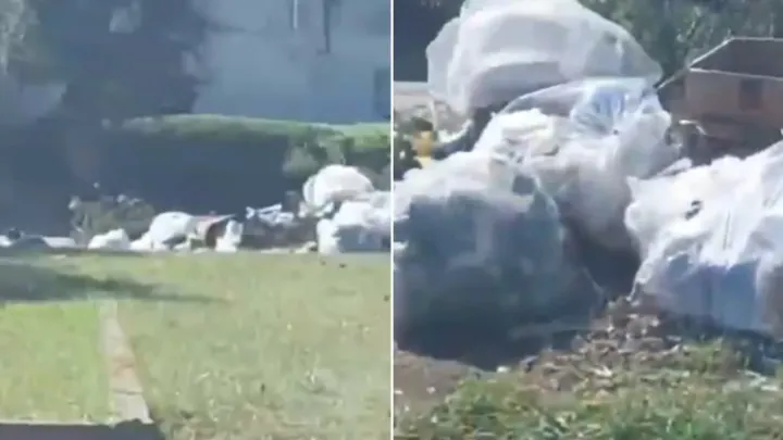 Un intendente anunció que multarán a quienes tiren basura en espacios públicos