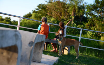 Arroyo Pirayuí, el tesoro natural que necesita del cuidado de todos